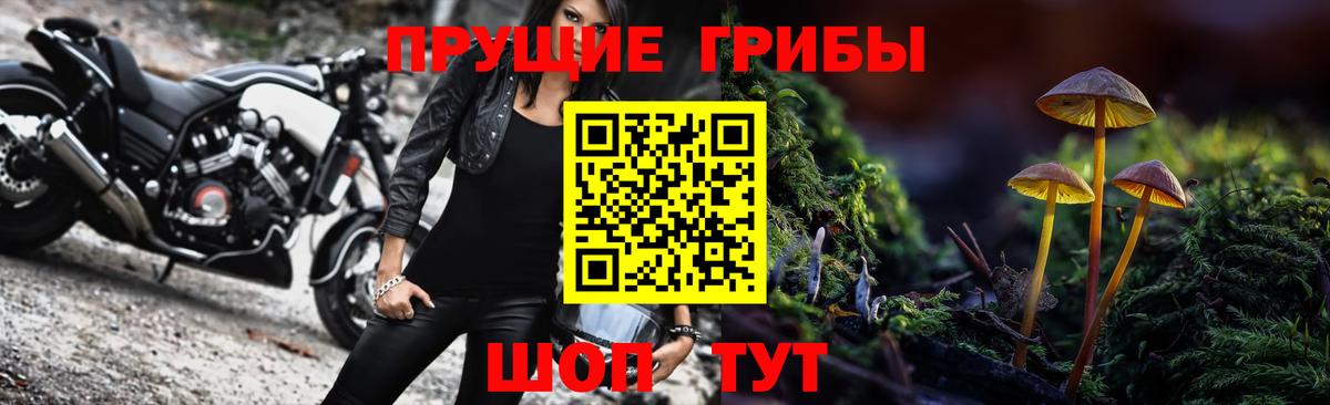 Галлюциногенные грибы мицелий Полевской
